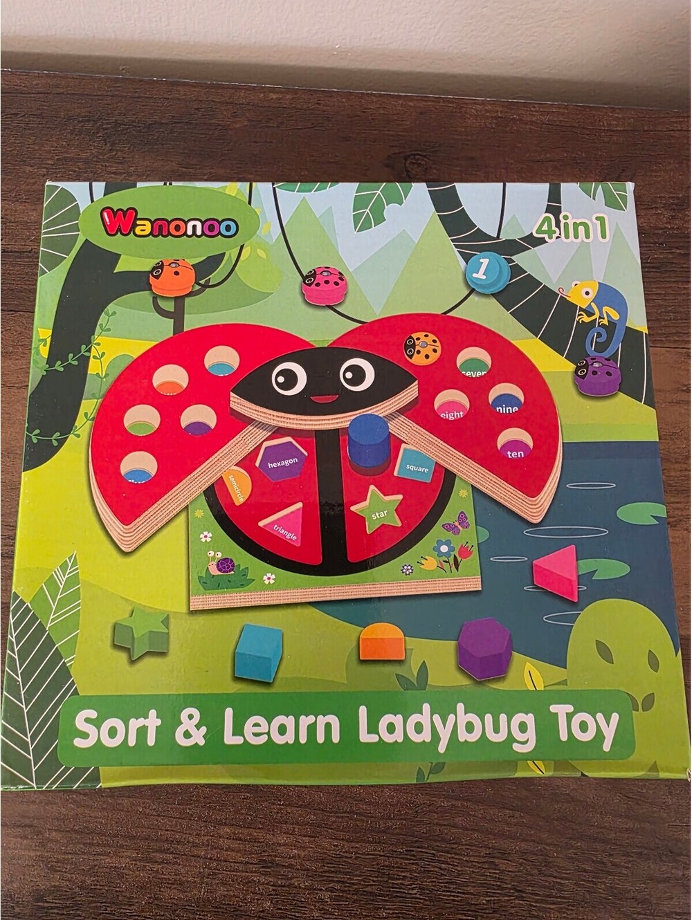 Sort & Learn Ladybug Toy